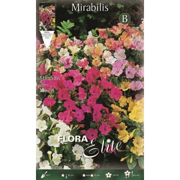 Mirabilis Bella di Notte-Bulbi Primaverili-ITALSEMENTI s.n.c.
